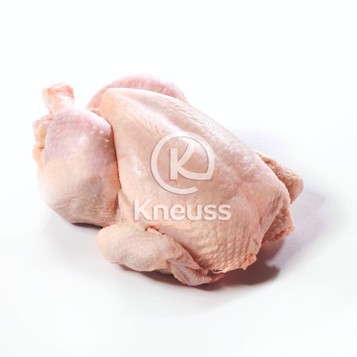 Güggeli