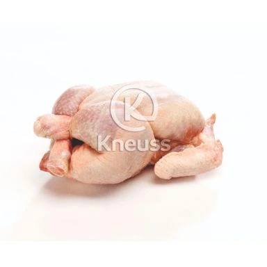 KNEUSS Güggeli 500 g frisch Schweiz
